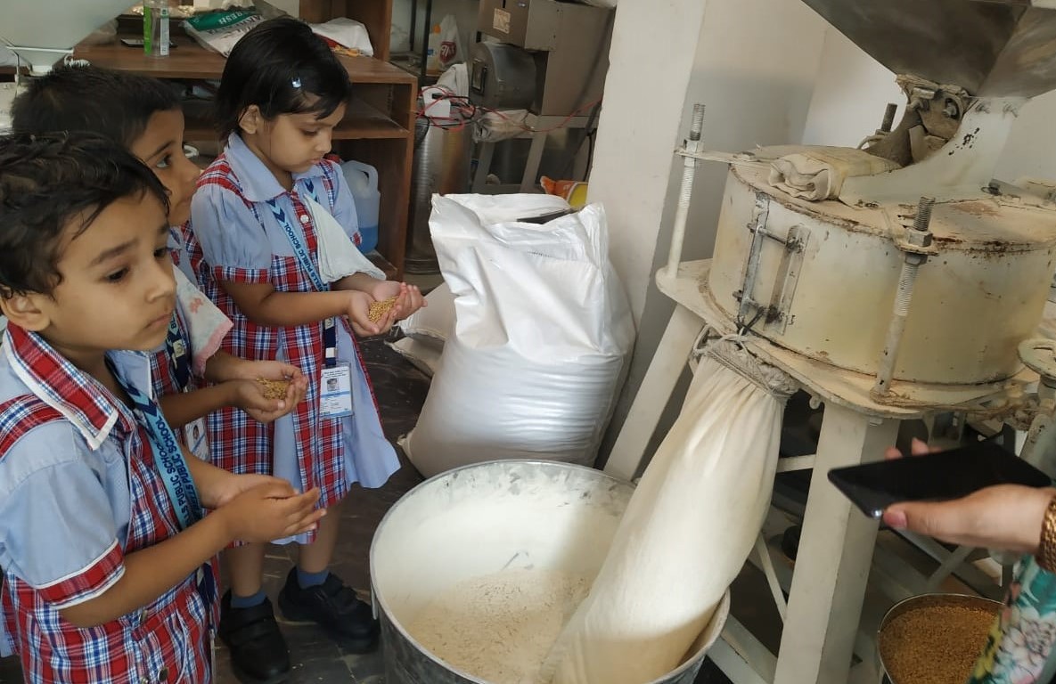 visit-to-flour-mill-202-uxma5H